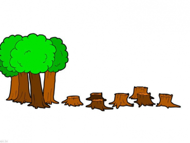 Les arbres
