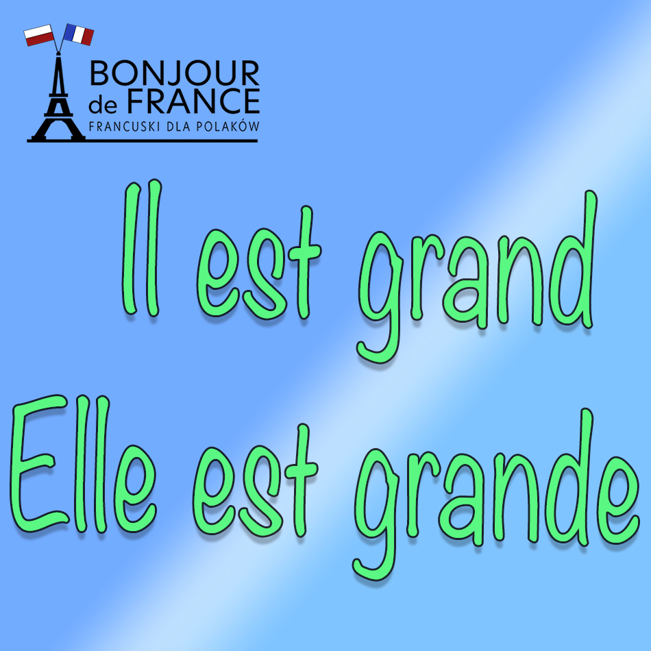 Il est grand. Elle est grande.