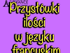 Przysłówki ilości w języku francuskim