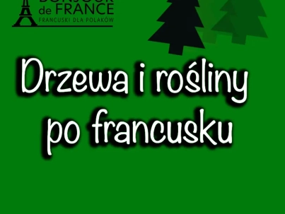 Drzewa i rośliny po francusku