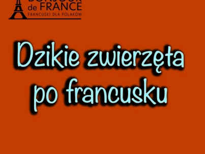 Dzikie zwierzęta i ich siedliska po francusku