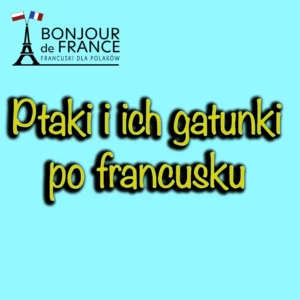 Ptaki i gatunki ptaków po francusku