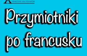 Przymiotniki po francusku