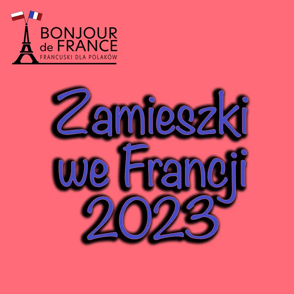Zamieszki we Francji w 2023