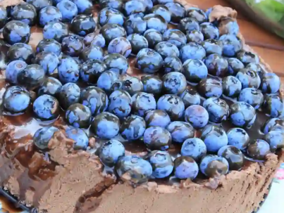 Borówkowy Gaj. Korzyści uprawy borówek amerykańskich w systemie ekologicznym z wykorzystaniem bakterii probiotycznych