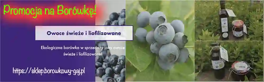 Letnia Olimpiada Paryż 2024