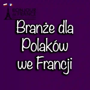 Najpopularniejsze branże pracy dla Polaków we Francji.