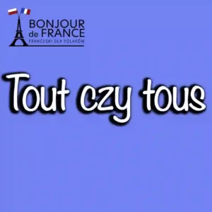 Tout czy tous - Różnica między "tout" (wszystko, cały) a "tous" (wszyscy)