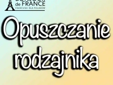 Opuszczanie rodzajnika w języku francuskim