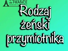 Rodzaj żeński przymiotnika