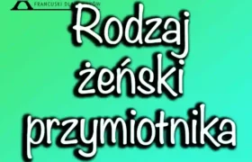 Rodzaj żeński przymiotnika