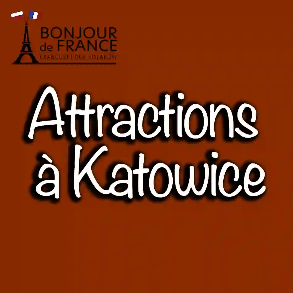 Les meilleures attractions à Katowice à ne pas manquer en 2024