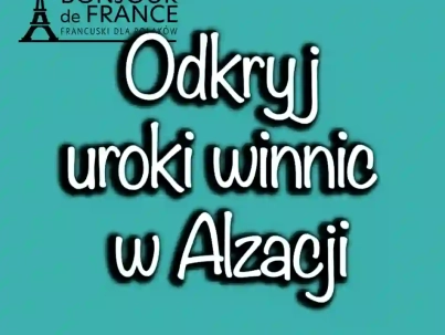 Odkryj uroki winnic w regionie Alzacja