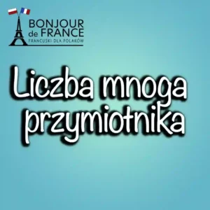 Liczba mnoga przymiotnika we francuskim – zasady i przykłady 1 Liczba mnoga przymiotnika we francuskim – zasady i przykłady