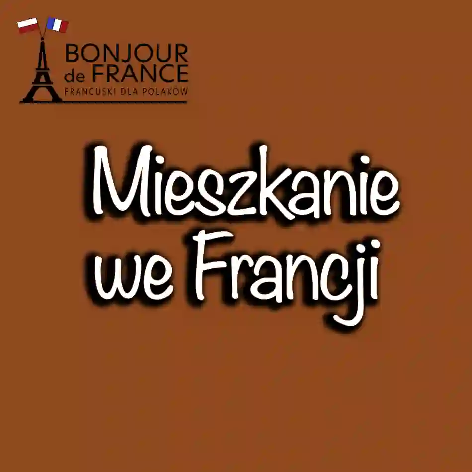 Jak wynająć mieszkanie we Francji? Poradnik zadowolonego lokatora w 2024