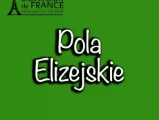 Pola Elizejskie w 2025: Od Pola Uprawnego do Ikony Paryża