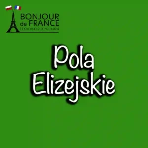Pola Elizejskie w 2025: Od Pola Uprawnego do Ikony Paryża