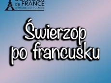 Świerzop po francusku