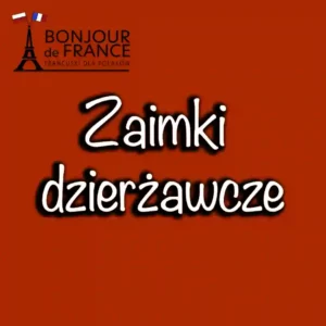 Zaimki dzierżawcze w języku francuskim 1 Zaimki dzierżawcze w języku francuskim