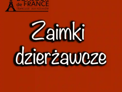 Zaimki dzierżawcze w języku francuskim