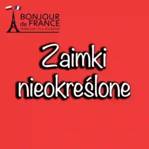 Zaimki nieokreślone w Języku Francuskim