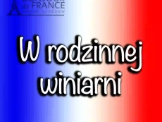 Jak kupować wino we francuskiej rodzinnej winiarni? Przewodnik językowo-kulturowy na 2025 rok