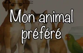 A1: Mon animal préféré – Moje ulubione zwierzę