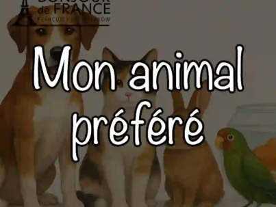 A1: Mon animal préféré – Moje ulubione zwierzę