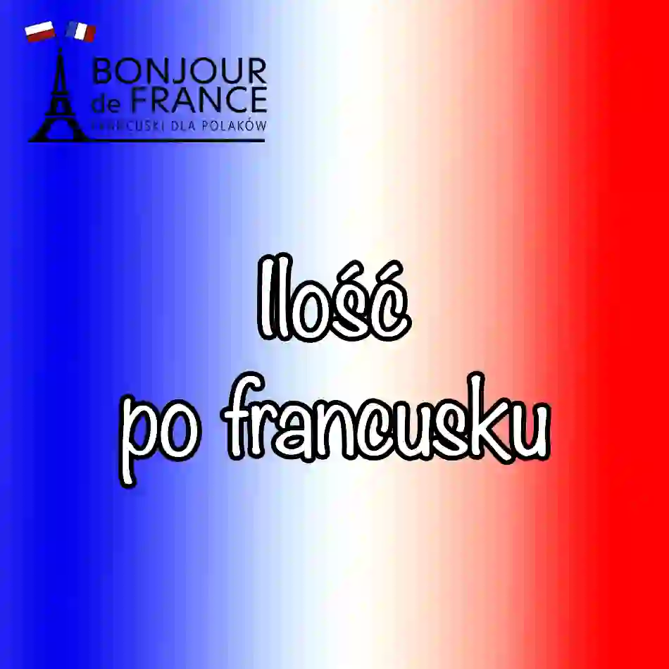 Jak określić ilość po francusku? Poznaj ponad 10 przydatnych wyrażeń.