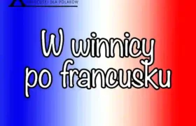 15 zwrotów u producenta wina Jak porozumieć się w domowej winnicy po francusku i swobodnie rozmawiać o winie