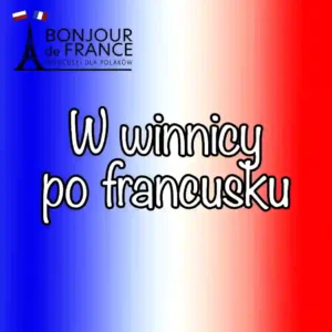 15 zwrotów u producenta wina Jak porozumieć się w domowej winnicy po francusku i swobodnie rozmawiać o winie 1 15 zwrotów u producenta wina Jak porozumieć się w domowej winnicy po francusku i swobodnie rozmawiać o winie