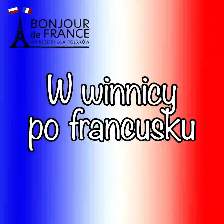 15 zwrotów u producenta wina Jak porozumieć się w domowej winnicy po francusku i swobodnie rozmawiać o winie