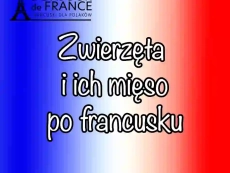 Zwierzęta i ich mięso po francusku – jak nie pomylić bœuf z veau w 2025?