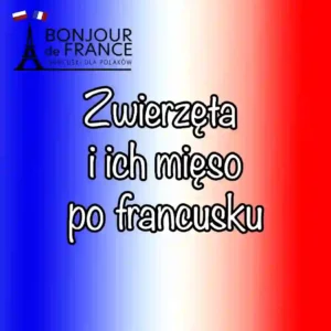 Zwierzęta i ich mięso po francusku – jak nie pomylić bœuf z veau w 2025?